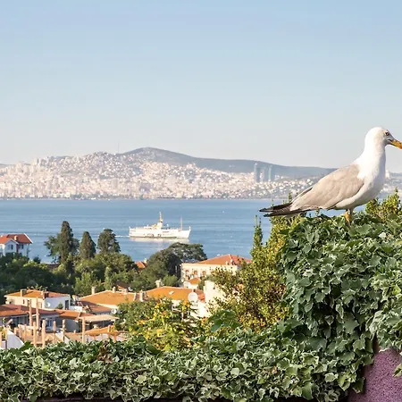 L'isola (adults Only) Guest house